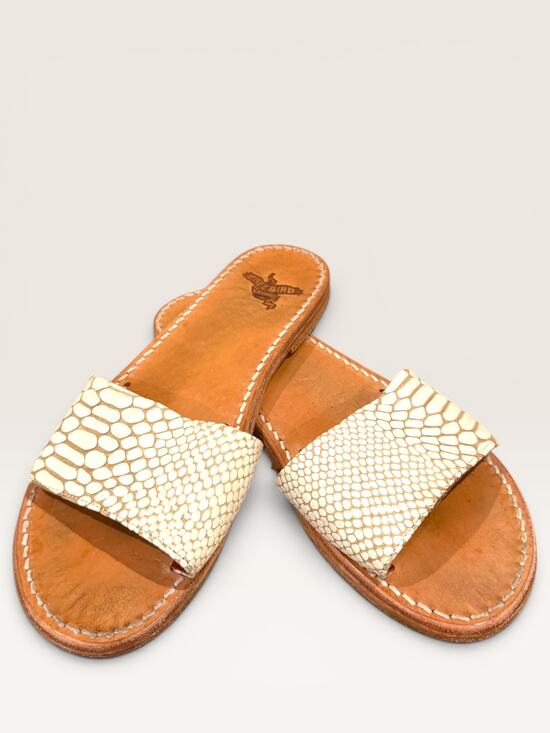 Freebird by Steven Shoes - FREEBIRD BY STEVEN Golden Snake Print Leather Flat Slide Cream 8 EUC